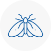 Moth Control Specialists In Epping